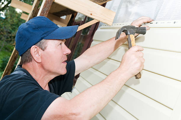 Best Custom Trim and Detailing for Siding  in Toulon, IL